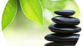 Timeline: Línea de tiempo de Terapias Naturales