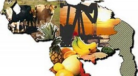 Timeline: Evolución del Espacio Agrario Venezolano