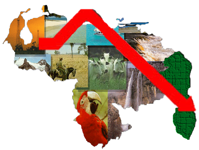 Economía de Importación