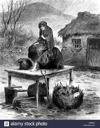 ● La teoría microbiana sin Pasteur y Koch.