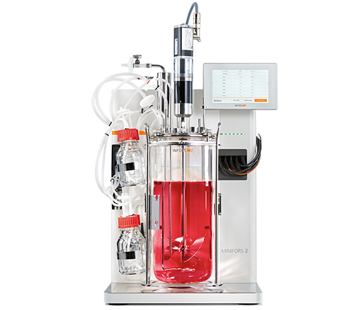 Desarrollo de biorreactor para células madre