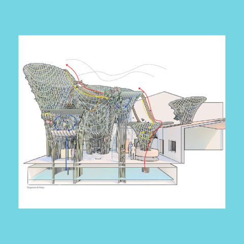 Mi jardín metabólico