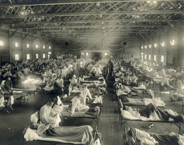 Influenza Epidemic