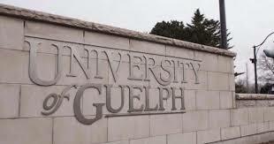 I was accepted in my dream school, University of Guelph