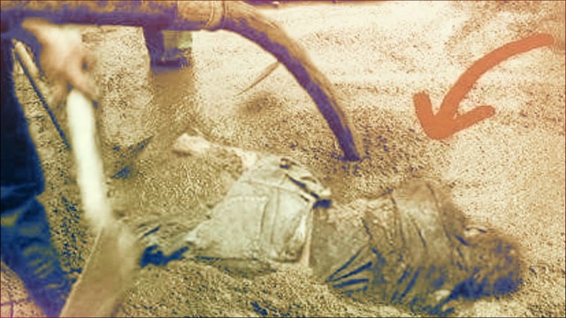 Evolución de la infancia (libro)