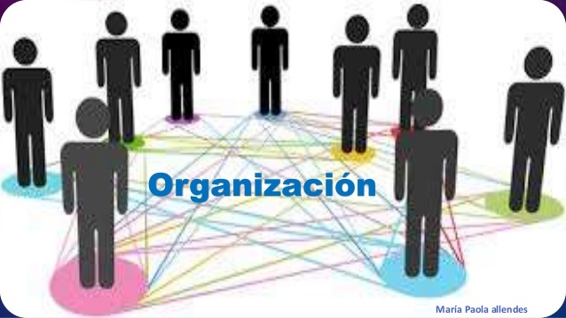 Organización