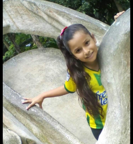 ingreso a la primaria