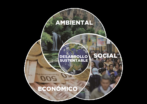 Término Desarrollo Sustentable