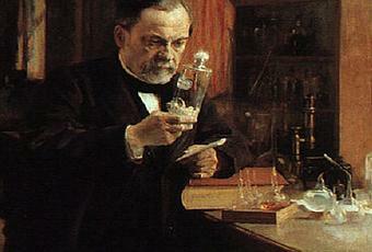 Gusano de seda y fermentación de la cerveza