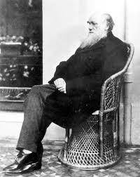 La tranformació a un veritable naturalista