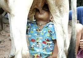 Evolución de la infancia (libro)