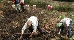 Ley del trabajo de 1928