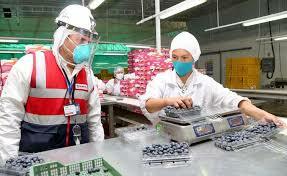 Decreto reglamentario 2076