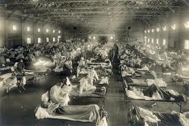 Influenza (flu) epidemic