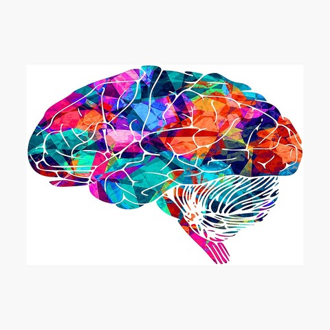 Revolución Cognitiva