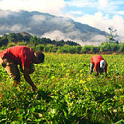 Timeline: Evolución de la Agricultura en Venezuela