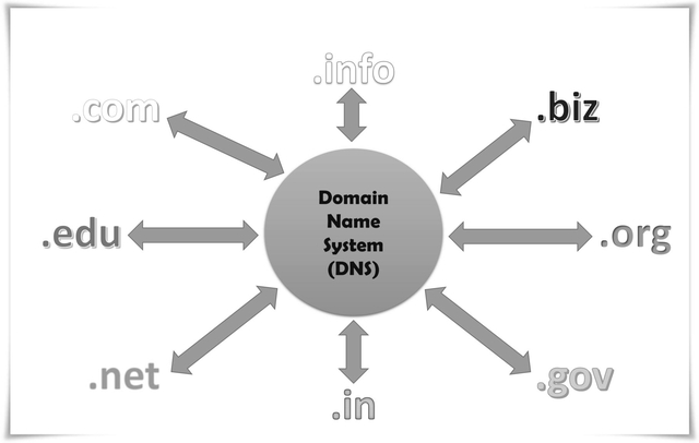 The Domain Name System (DNS)
