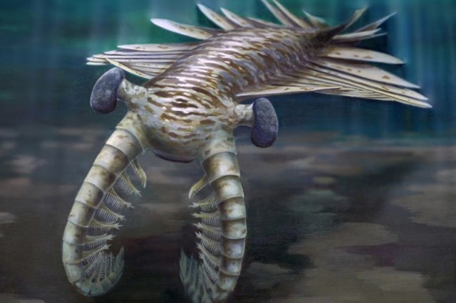 HACE 540 MILLONES DE AÑOS