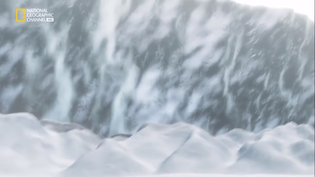 HACE 650 MILLONES DE AÑOS