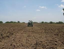 Intentos Para Salvar el Sector Agrícola