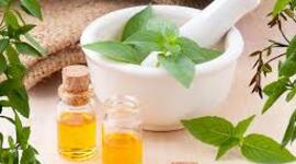 Timeline: Historia Terapias Naturales