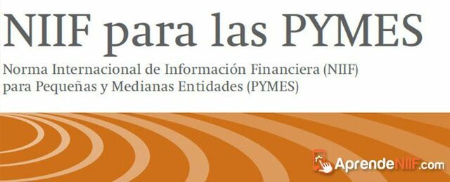 NIIF PARA PYMES