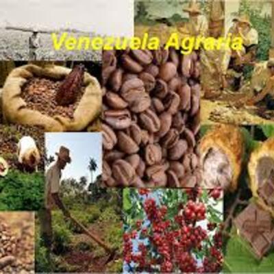 Timeline: Historia y evolución del espacio agrario en Venezuela