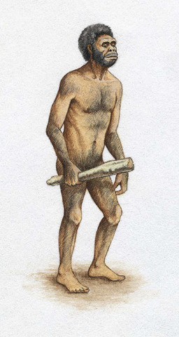 Illustrated Timeline Of Early Man Timetoast Timelines