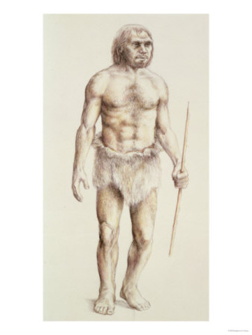 Homo sapiens neanderthalensis (Wise Neanderthal Man)