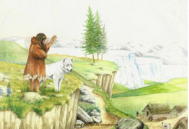 Début de la domestication des animaux