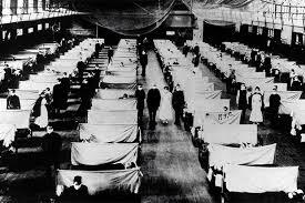 Influenza epidemic