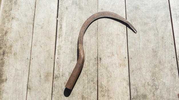 Learning to Find Murder Weapons