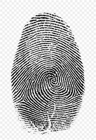 Using Fingerprints to Determine Crime