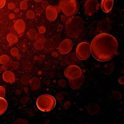 Blood Types Identified