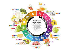 Se descubren las primeras vitaminas