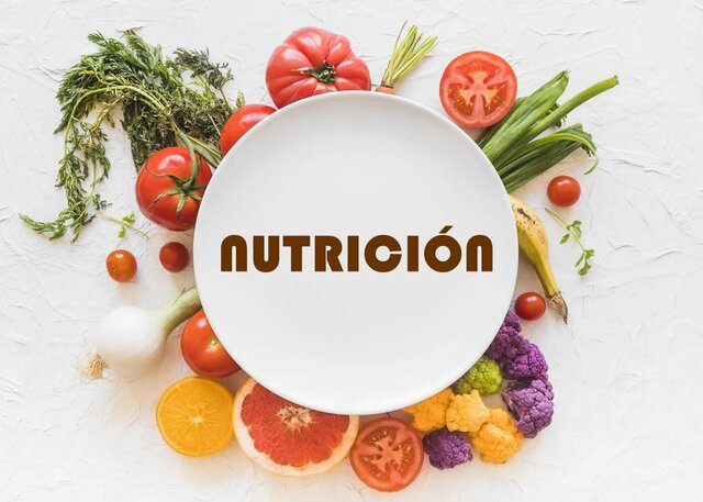 División de la Nutrición en cuatro tipos