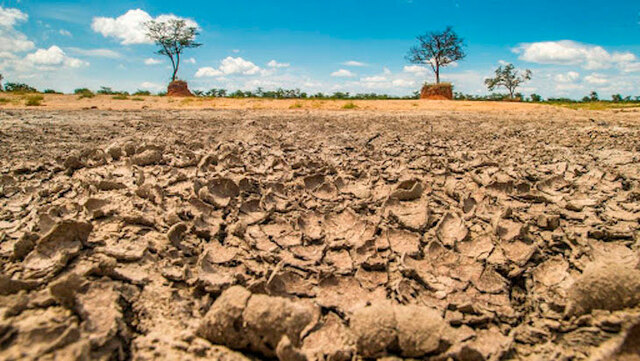 Empeoramiento del Sector Agricola