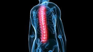 Manipulacion Quiropractica y Osteopatica