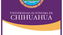 Timeline: Tarea 1.1.2