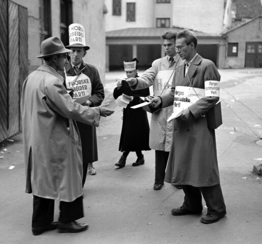 Alle menn som betaler skatt, får stemme