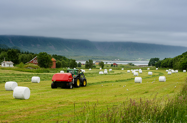 Endring i samfunnet fikk folk til å delta i demokratiet