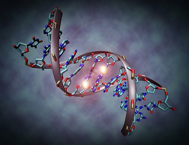 Actualización de la definición epigenética