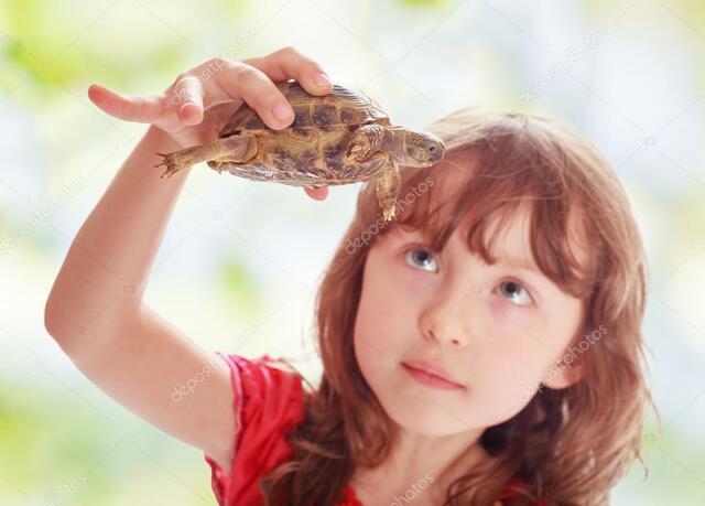 I had a turtle at eigth years old