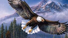 Timeline: WWII History Timeline