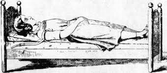 Evolución de la infancia (libro)