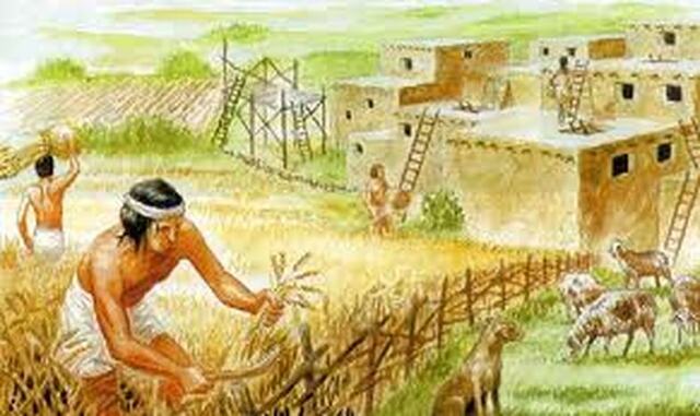 Première trace de sédentarisation et d'agriculture