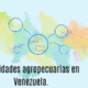 Actividades agropecuarias en venezuela foto