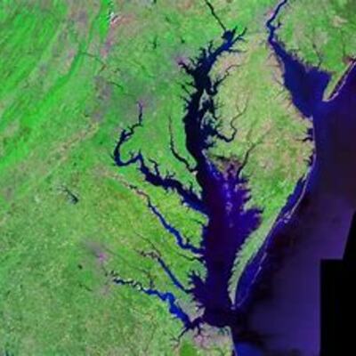 Timeline: Timeline Capstone 2021