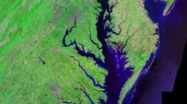 Timeline: Timeline Capstone 2021