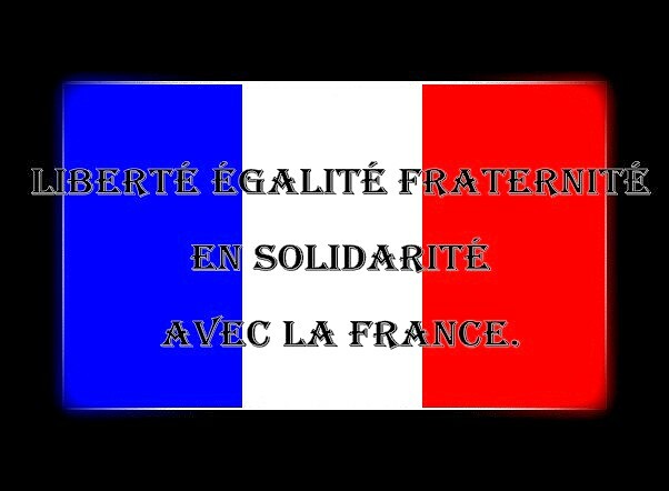 Declaration of the Rights of Man and Citizen